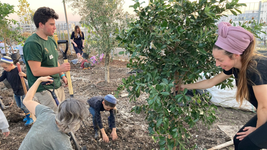 נטיעות בחריש