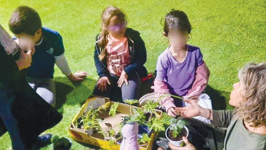 גינה ויצירה