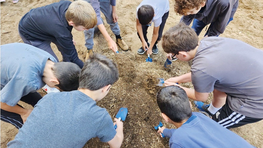 שתילת פרחים בתל אביב