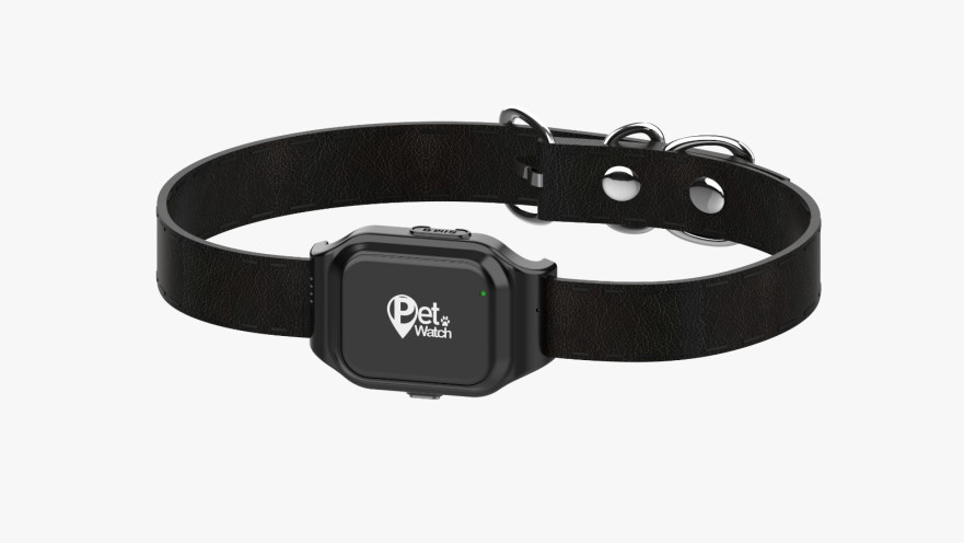 קולר חכם PETWATCH 2.0