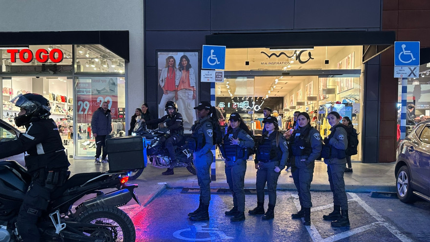 סיירות משמר הגבול בדרום