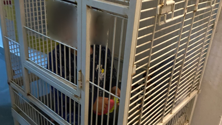 הכלוב בו נמצא התינוק בדירה בחיפה