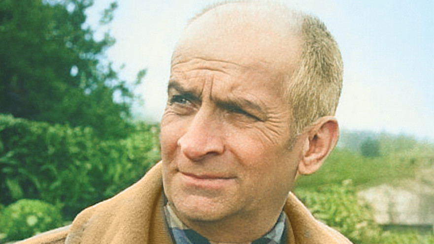 לואי דה פינס