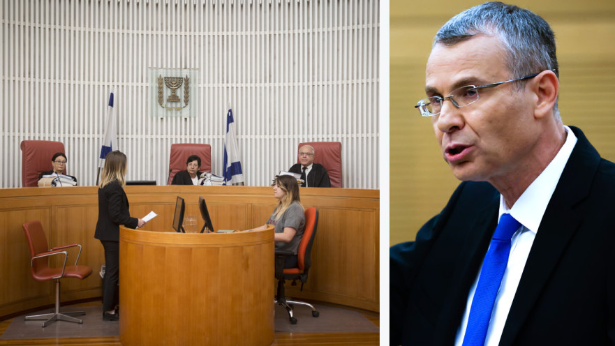 יריב לוין, בג"ץ 