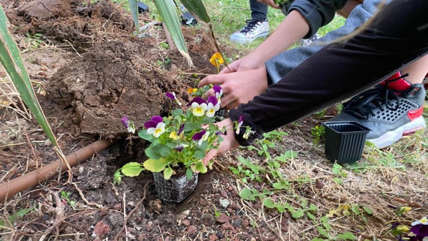 ט"ו בשבט בתל אביב. רון בלב ואת ביד