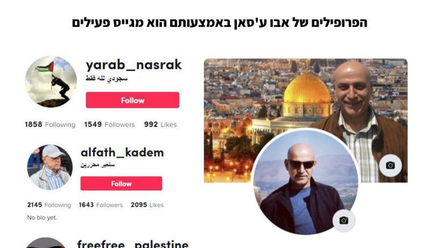 הפרופילים בהם נעשה שימוש