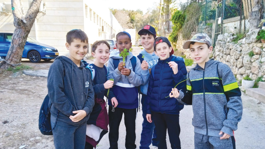 צוות סביבה ממד גוננים