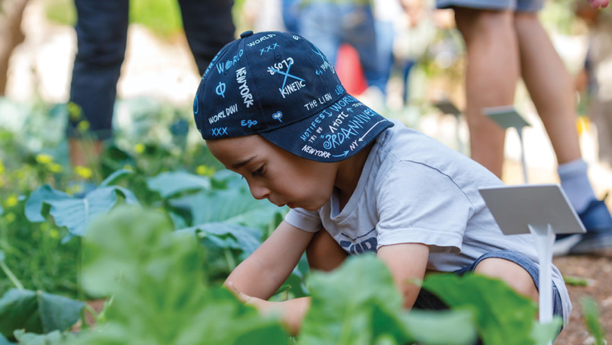 טו בשבט בחווה בגיא