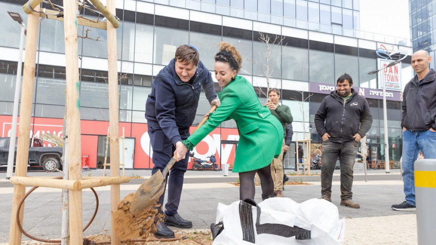 סילמן וגרינברג נוטעים את העץ בעמק הסיליקון המקומי. סמל לצמיחת העיר