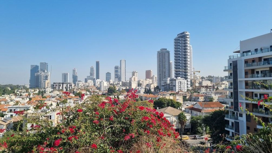 הנוף למזרח מגבעת נפוליאון. "טבע עירוני"