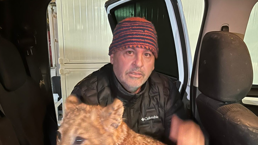 גור האריות שחולץ