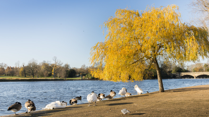 הייד פארק, לונדון