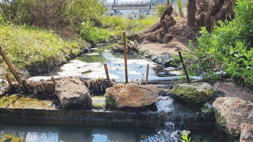 זיהום בנחל סעדיה