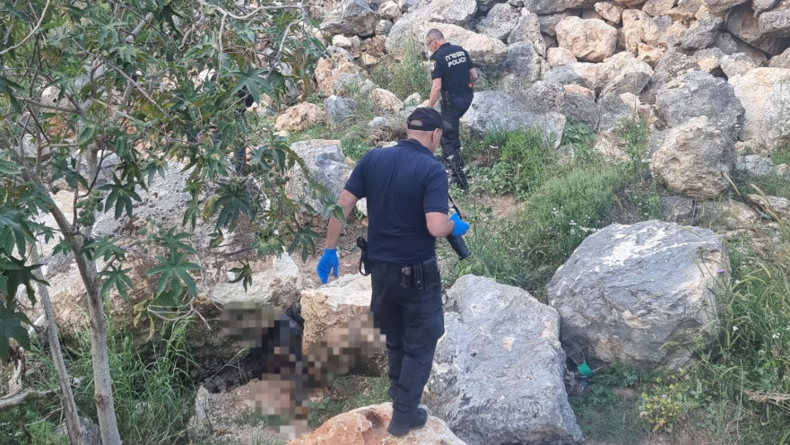 הזירה ביער סמוך למודיעין