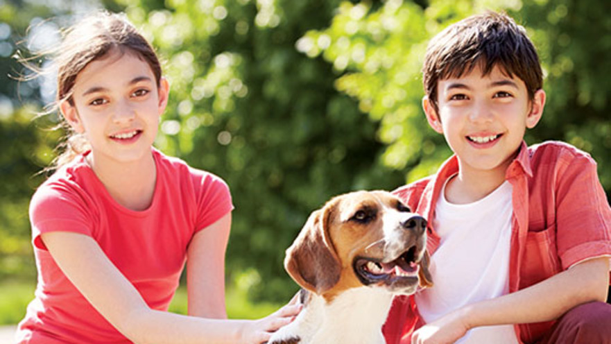 חבר על ארבע. "ערכים משמעותיים שחשוב להנחיל לדור הצעיר"