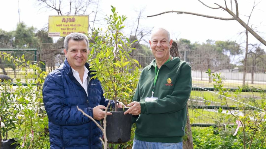 שאמה הכהן והירשלר. "גם הפעם כל העצים ייחטפו במהירות"