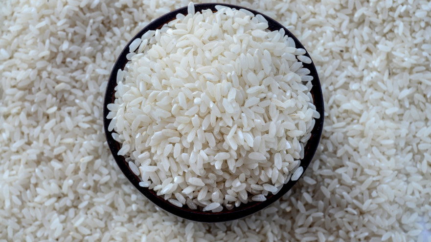באדיבות european rice האורז האירופי החדש