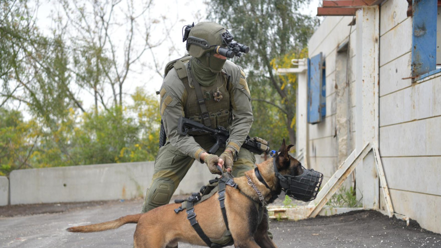 הכלב ג׳אנגו