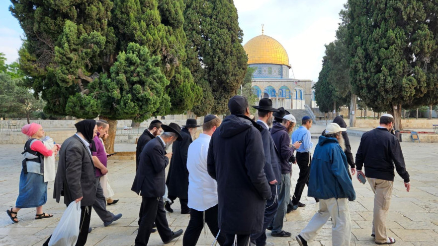 יהודים בהר הבית