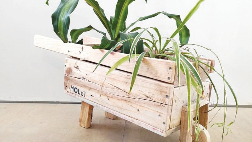 אדנית חדשה מפסולת ישנה