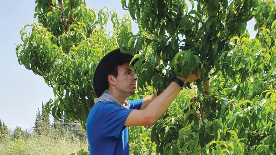 חניך מכינת חנתון