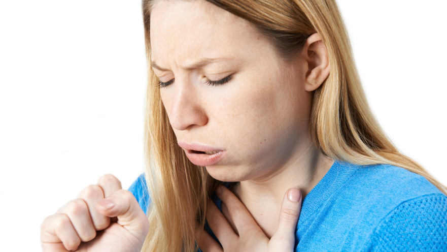 שעלת, אילוסטרציה