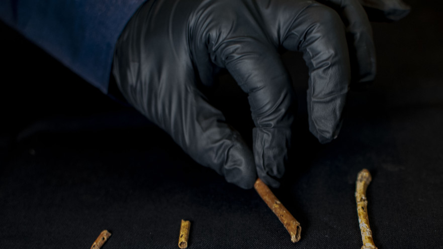 חלילים עתיקים שנמצאו בעמק החולה