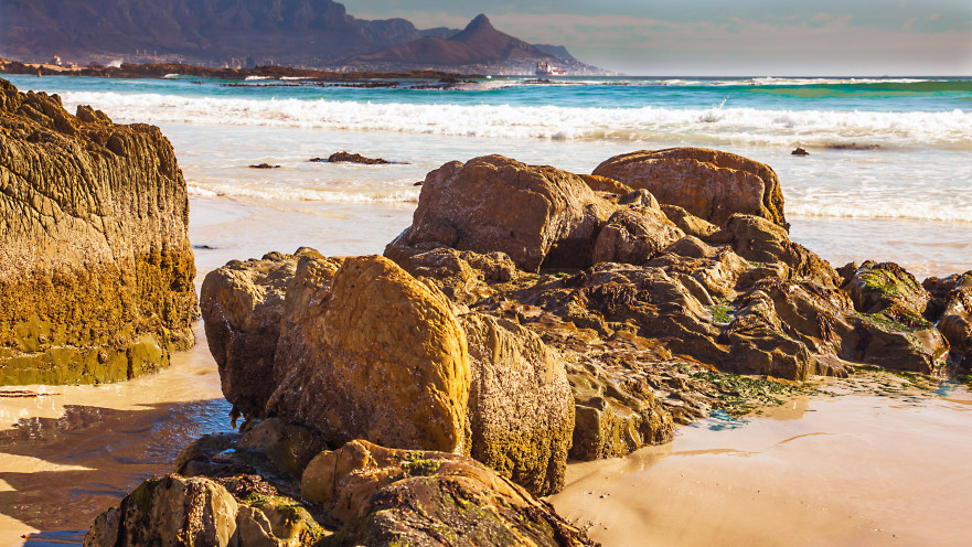 חוף בדרום אפריקה