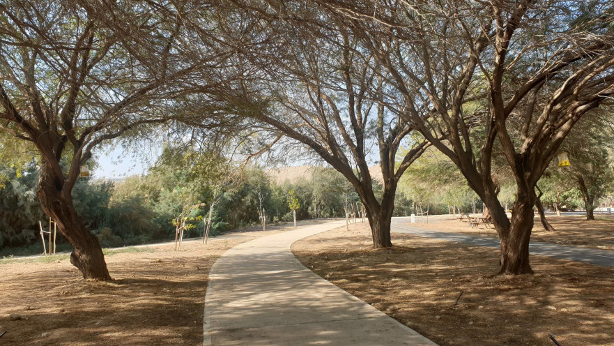הטיילת באגם ירוחם 