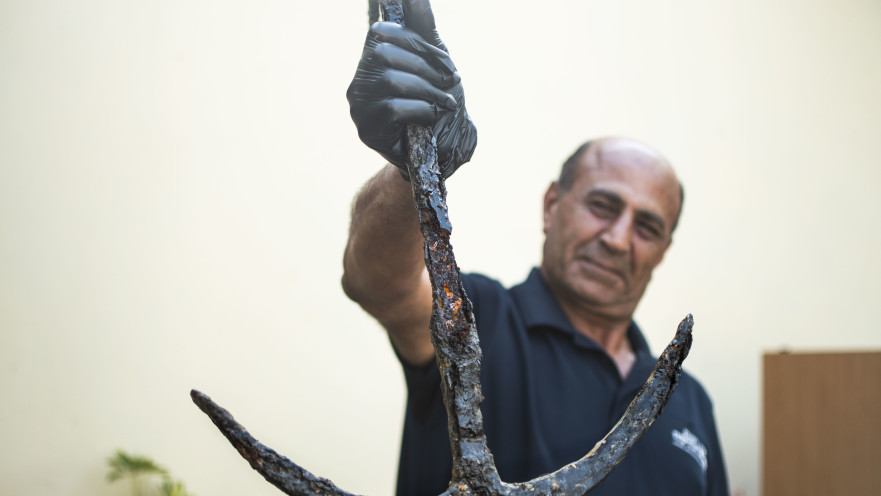 העוגן הנדיר