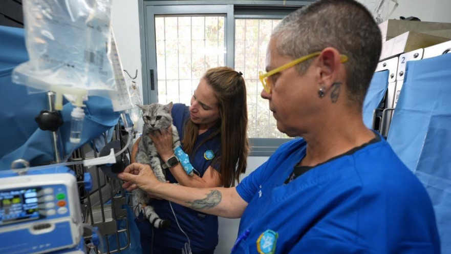 המרכז הווטרינרי החדש. ישרת את ישובי גוש דן