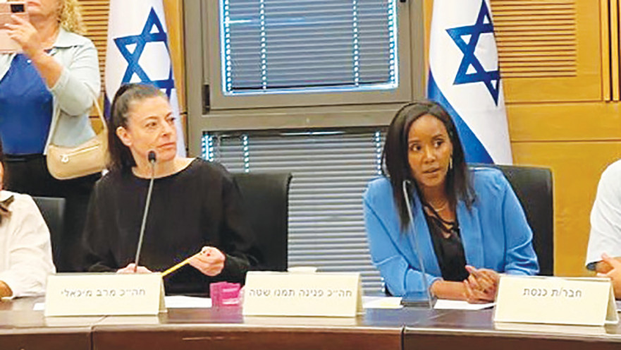 פנינה תמנו שאטה ומרב מיכאלי