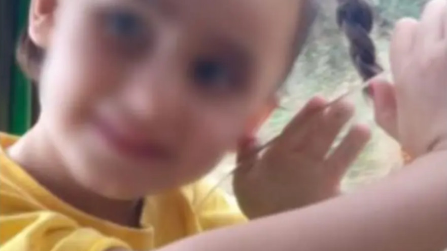 לין טאליב, הותקפה על ידי סבה