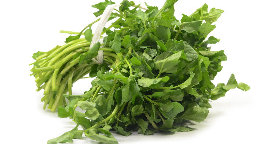 גרגיר הנחלים