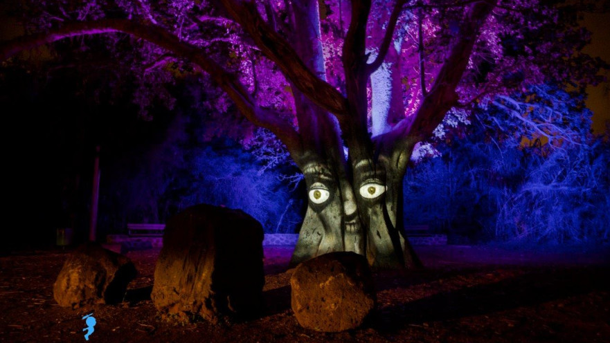 תופעת טבע בפארק הירדן