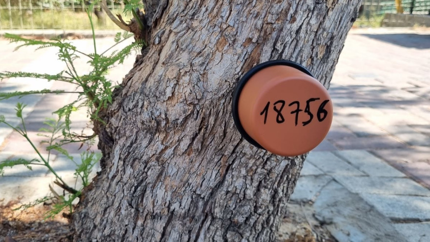 חיישן לאיתור טרמיטים. "תופעה שאינה מזיקה לאדם אלא רק למוצרי עץ"