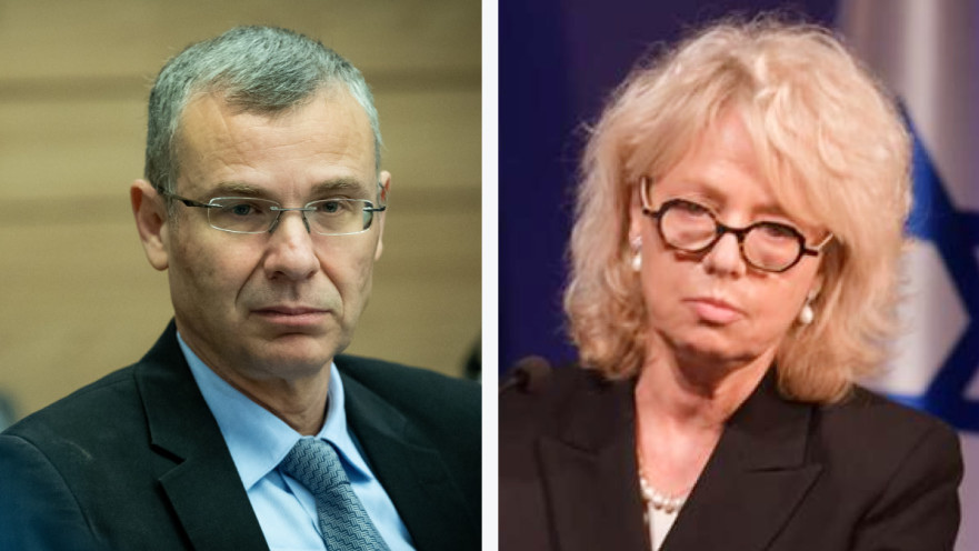 גלי בהרב-מיארה, יריב לוין 