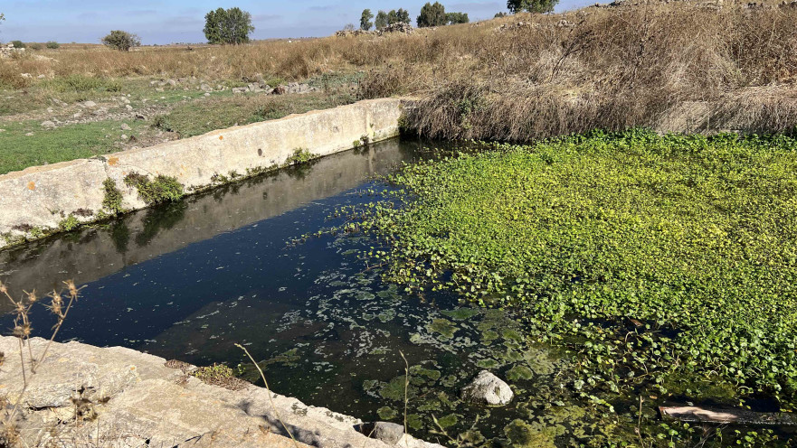 עוצרים בנקודות מים על הדרך