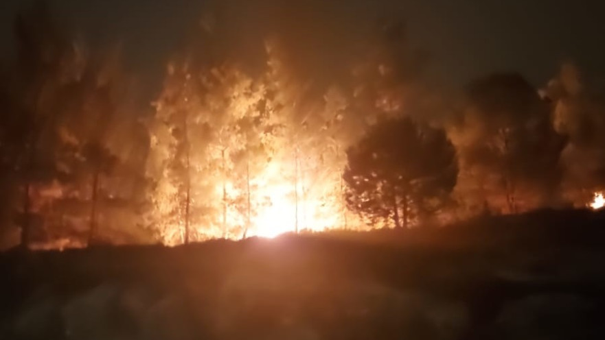 שריפה שפרצה בגוש עציון