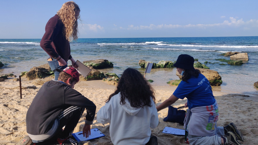 בוסתן בית חינוך 