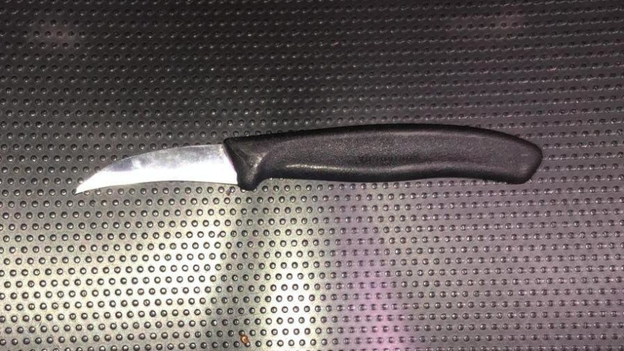 הסכין שנתפסה אצל המחבלת