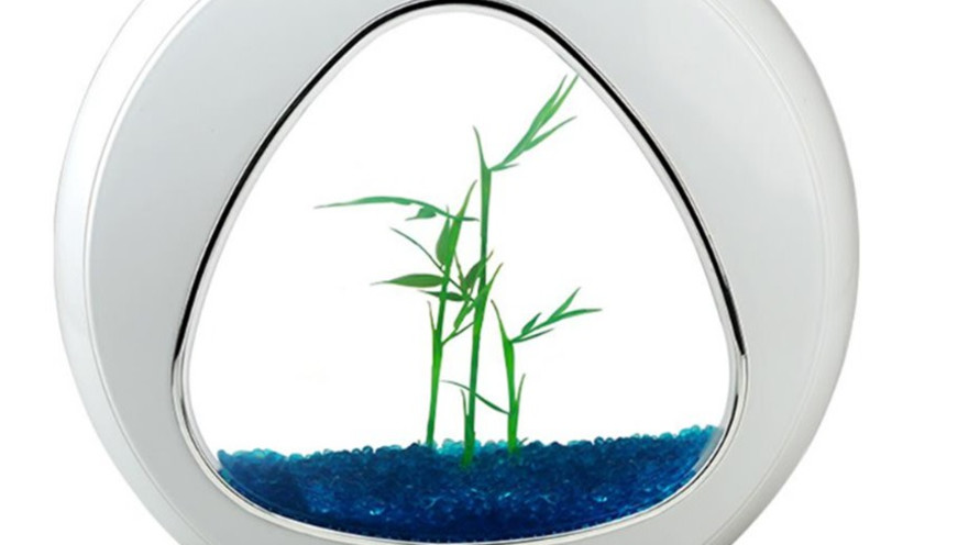 קולקציית משקפי ראייה של מותגי על וחנות חיות בר מקצועית ואיכותית: המלצות קניה למגזר הדתי