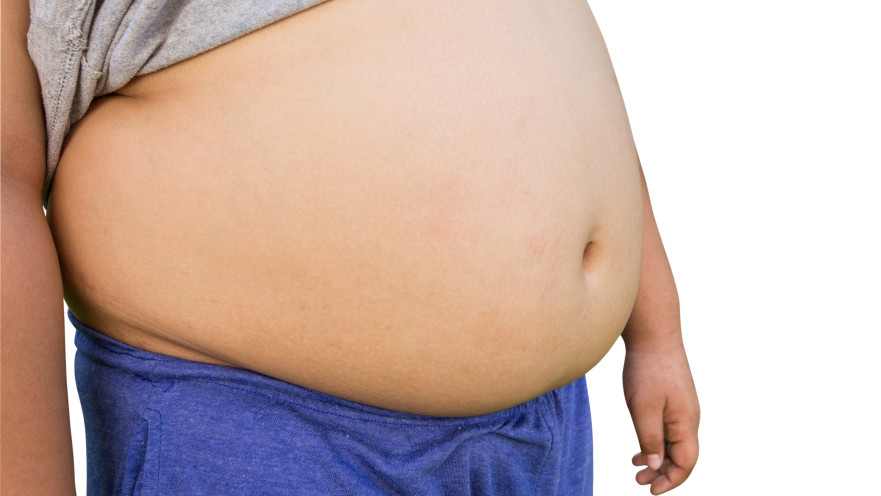 שומן בטני, אילוסטרציה