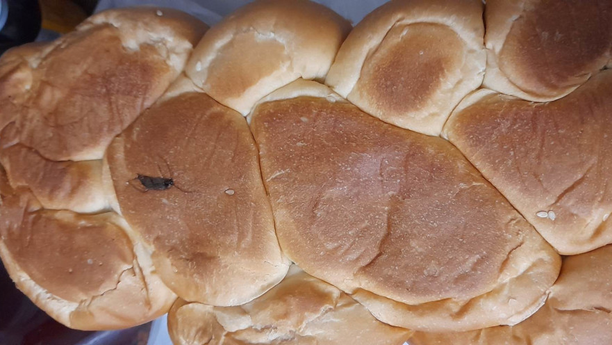 הג'וק נאפה עם החלה