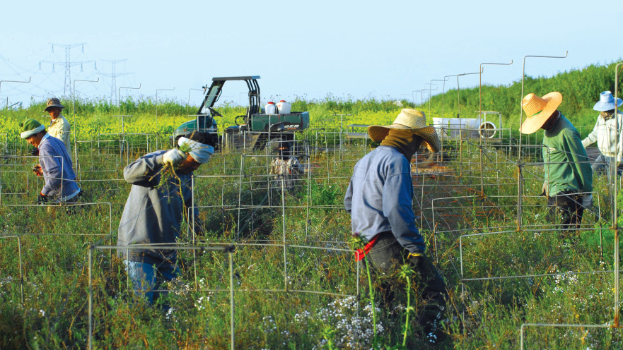 חקלאות בדרום, ארכיון