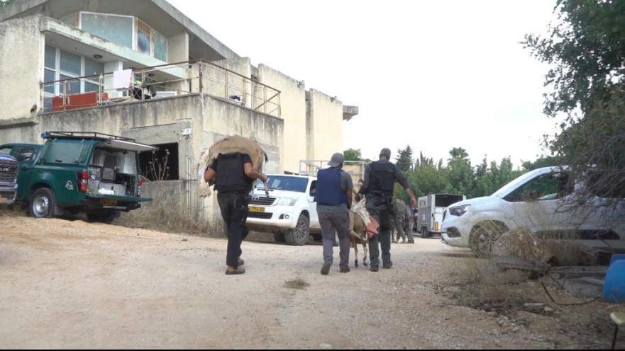 מבצע חילוץ חיות בר מאזורי סכנה נמשך