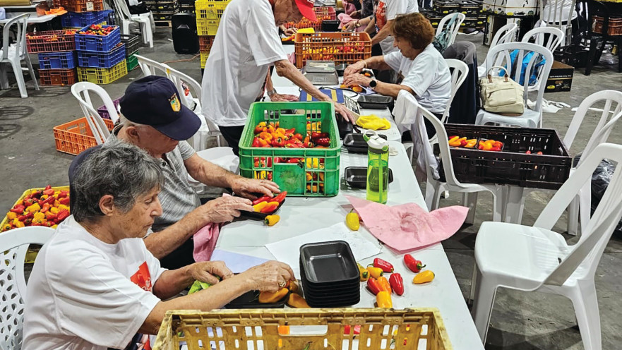 סבים וסבתות למשק