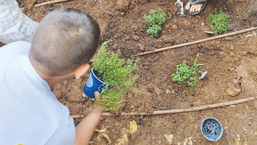 האדמה מרפאת