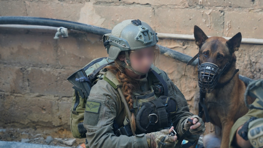 פעילות עוקץ ברצועת עזה