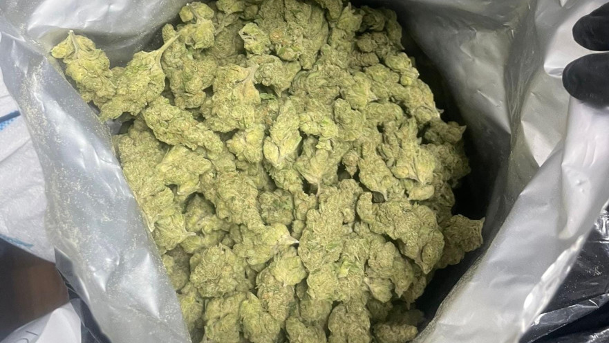 קנאביס (ארכיון)